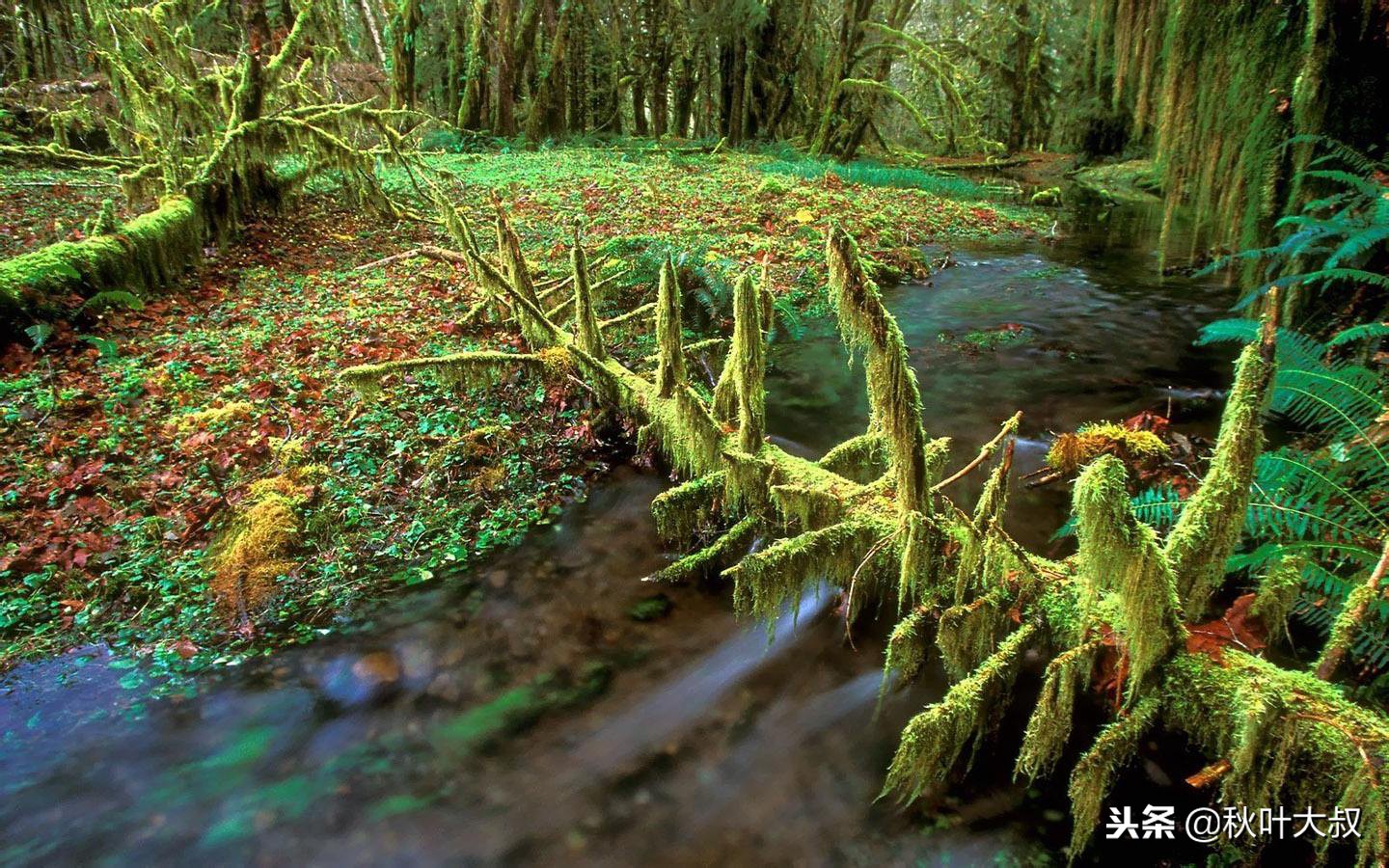 被小人同事算计用不用给领导告状,被领导盯着一直被算计了怎么办