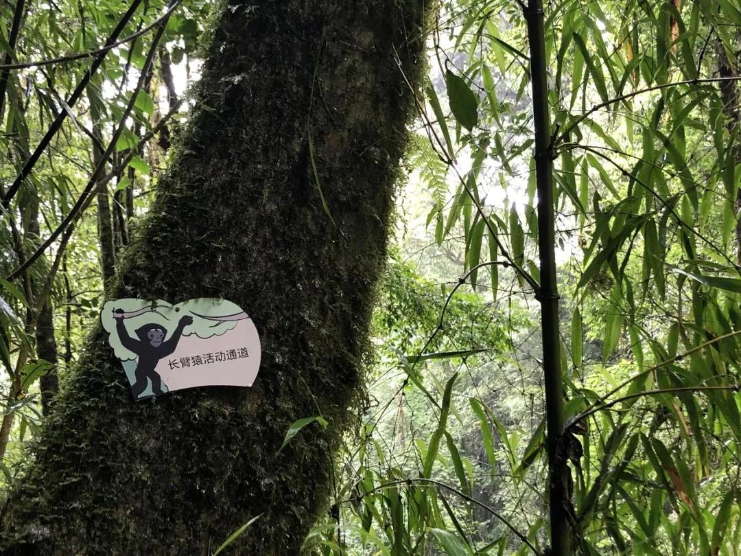 一群90后学霸，嚷嚷着要给它们找对象：自己单身不要紧