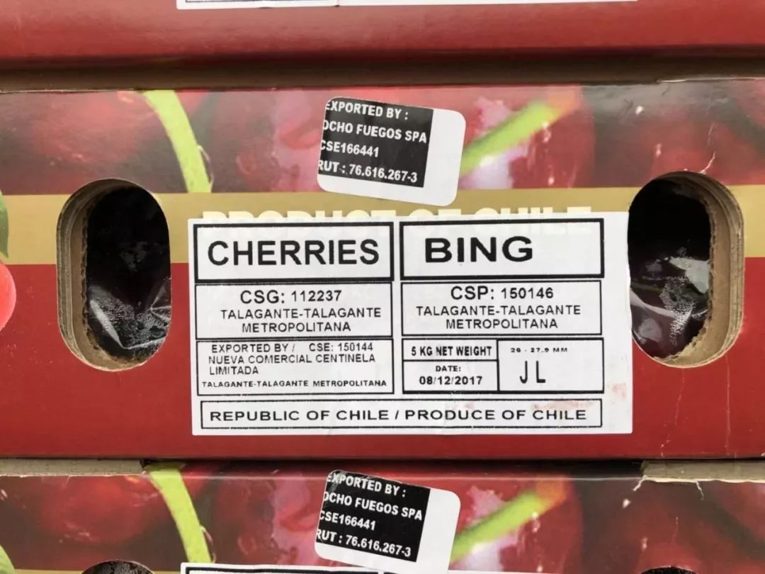 陕西红富士水果,新鲜红富士让您吃得放心