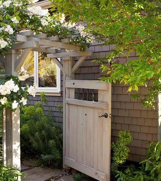 夏季花草烂根怎么办,盆栽被太阳晒枯萎了怎么办