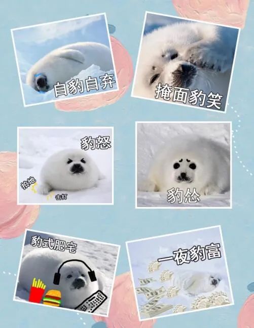 这届年轻人已经饥渴到“吸海豹”了……