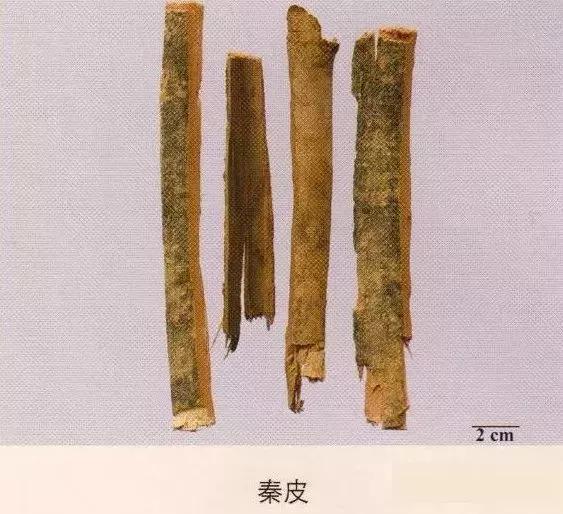中药材图片大全大图带药名,200多味中药材图谱带图