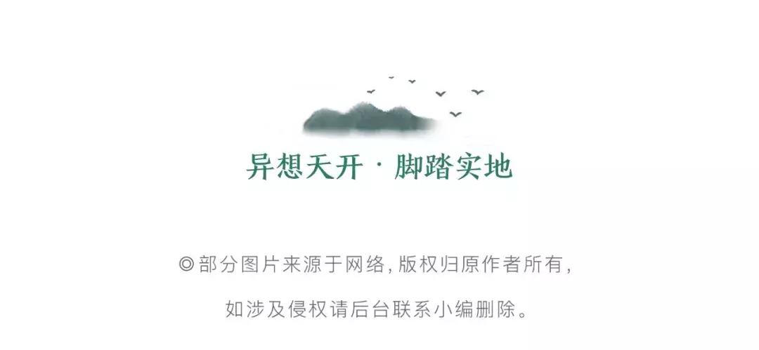 做一阵自由的风,英勇且温柔——赛博文旅好好生活团队泰国游