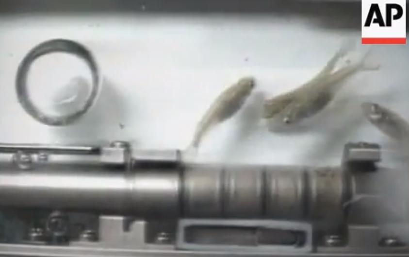 宇航员怎么在太空上方便,航天员在太空里要如何洗澡