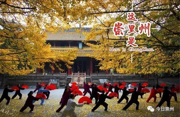 崇州十年的变化,崇州市各乡镇经济排名