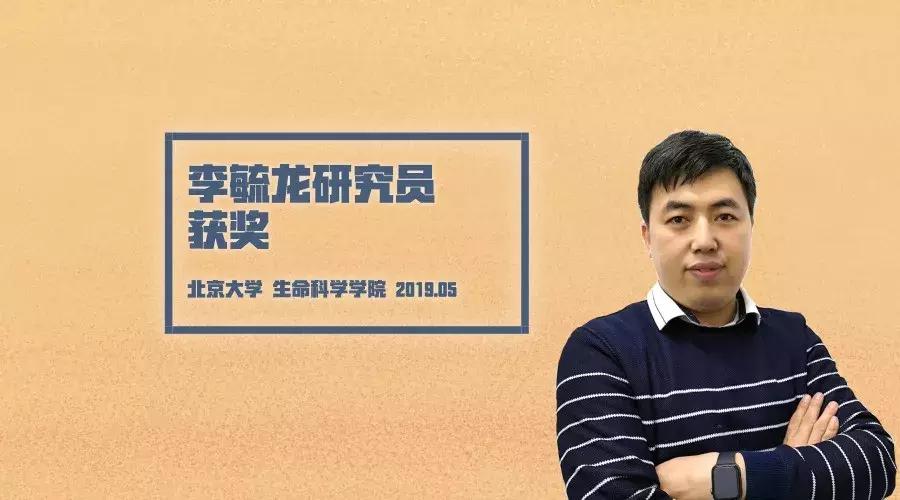 脑科学日报,脑科学ai专注力