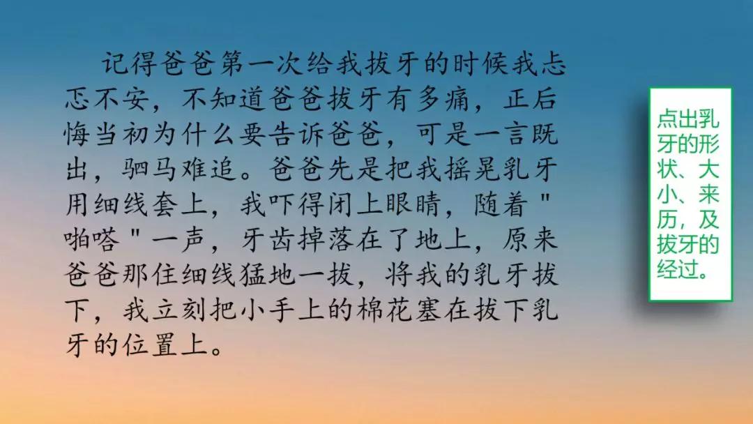 作文五年级部编版我的心爱之物,我的心爱之物800字作文五年级上册