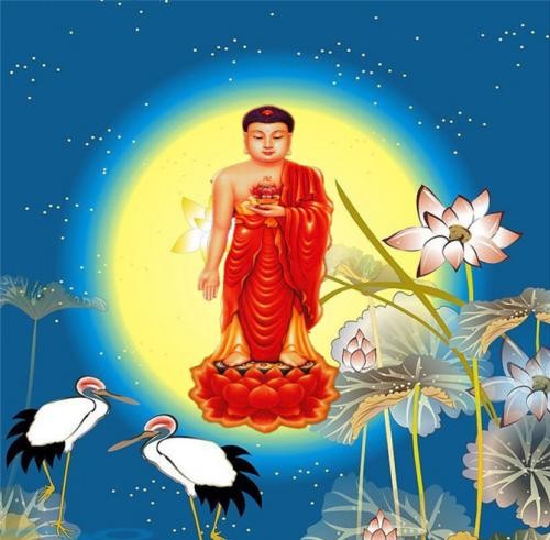 虔诚礼拜阿弥陀佛，许愿祈福，新生活好事连连，福气满满