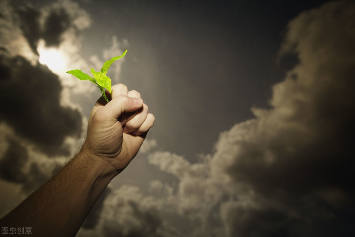 “基金定投，财富自由”骗了你多少年？