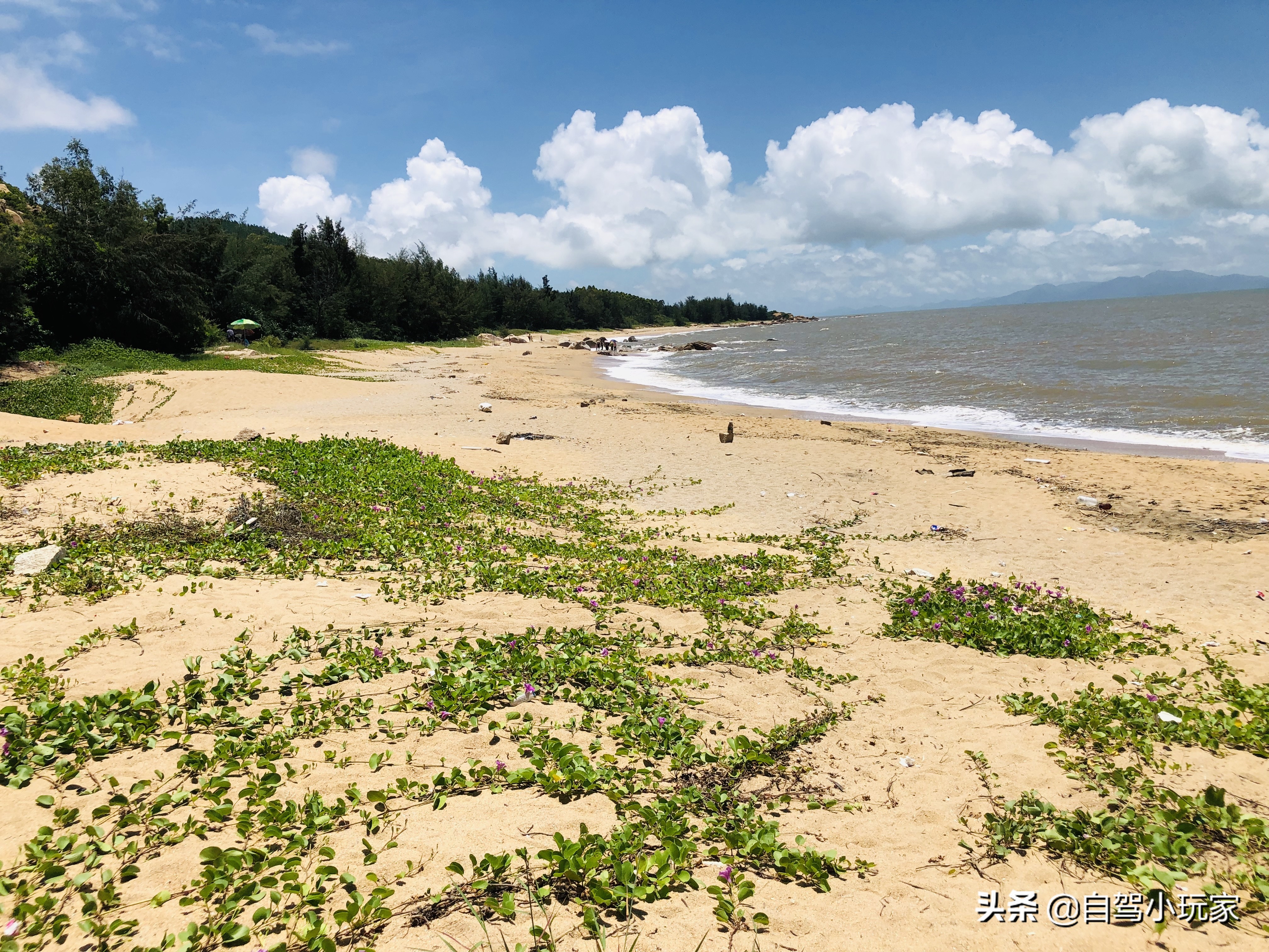 广州好玩的地方小众,广州小众景点排行榜