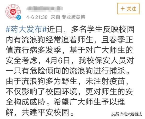 大学宿舍养狗什么处分最严重,大学生在宿舍养猪被通报批评