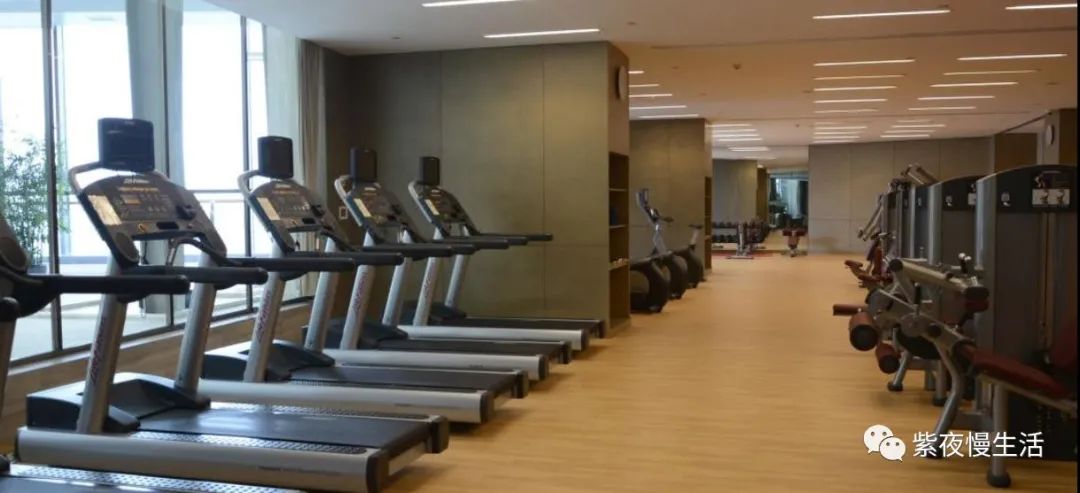 慢生活惬意悠闲,悠闲惬意上海