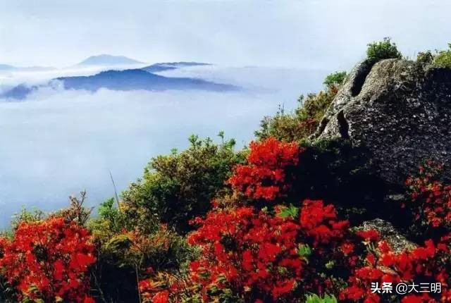 绿都最氧三明景区预约,绿都最氧三明旅游攻略