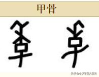 浼徊鍙斿瑙f瀽,浼徊鍙斿鏂囧甯歌瘑