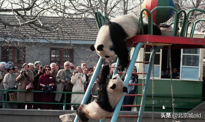 北京人的记忆北冰洋,陶然亭大雪山对北京孩子的意义