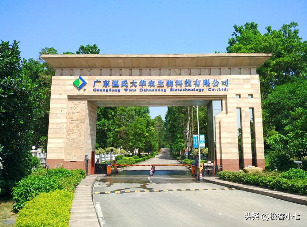 一年卖4000万只鸡,一年卖出100万只鸡