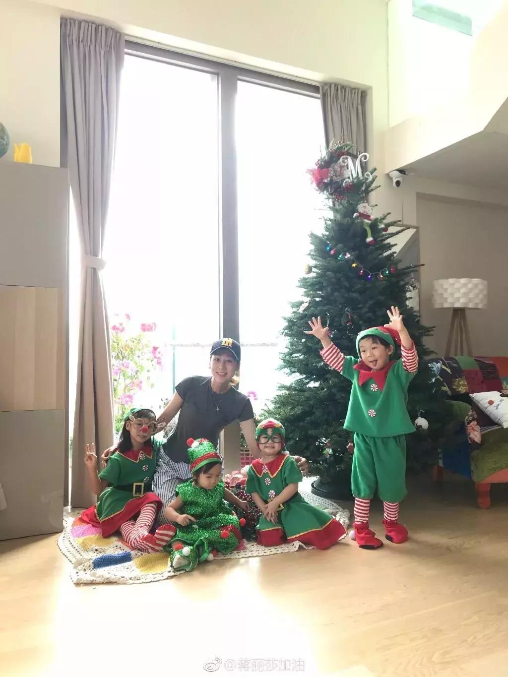 老佛爷的猫继承多少遗产,老佛爷去世了猫继承了多少遗产