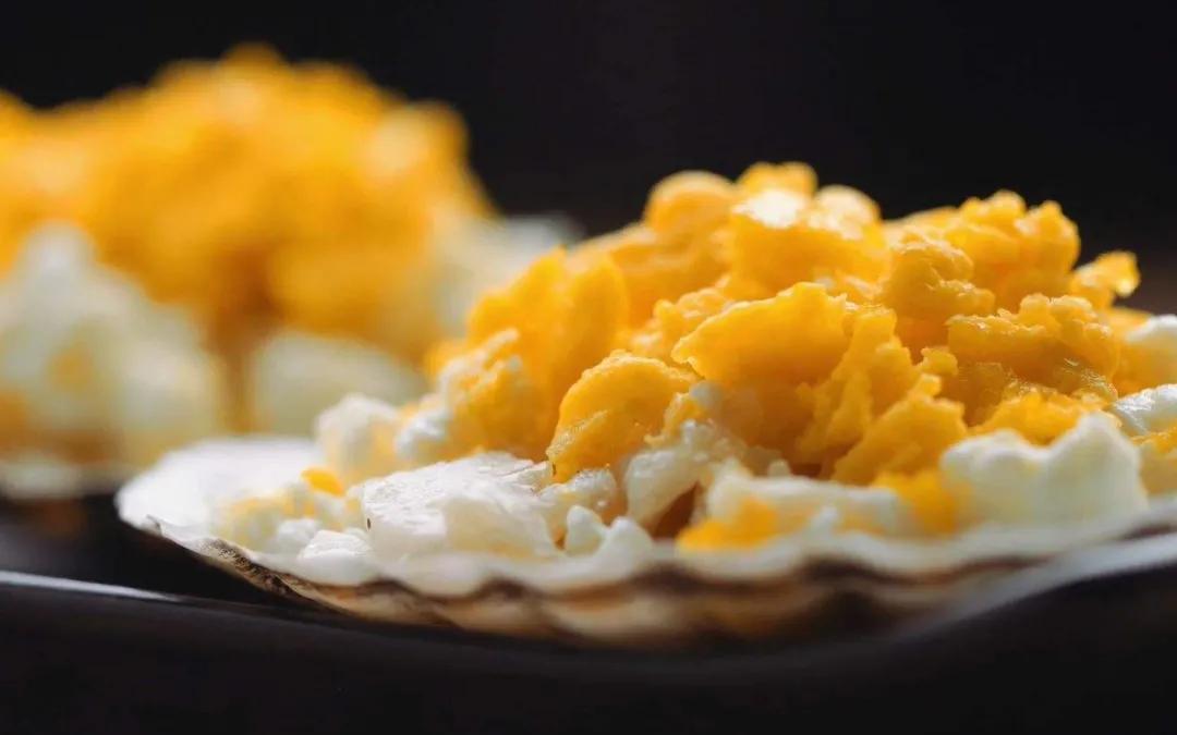 一颗鸡蛋的冒险之旅,一颗鸡蛋的旅行游戏