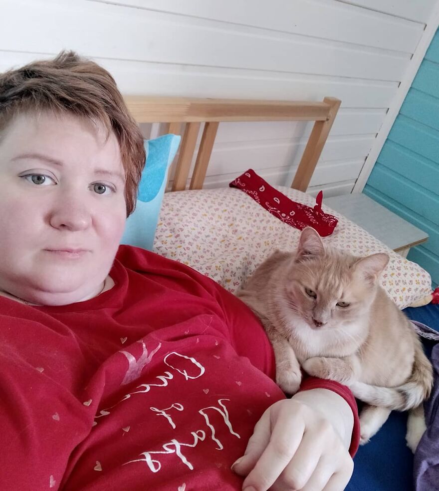 关于猫的13个误解，其中一些可能会让你大吃一惊