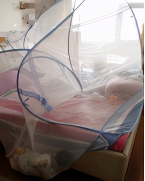 最新好用蚊帐推荐款有哪些,蚊帐哪种款式好用测评