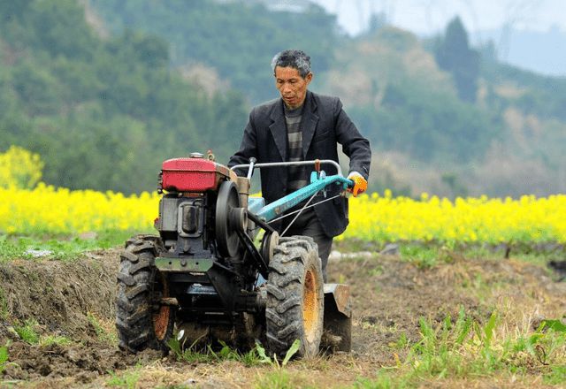 农村农业种植一年补贴多少钱,农民种地今年补贴多少钱1亩地