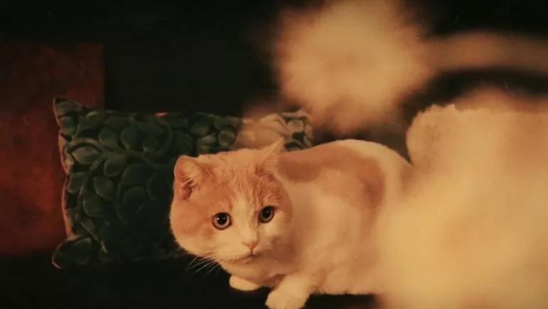 友情的尽头是孤独,一段渐行渐远的友情