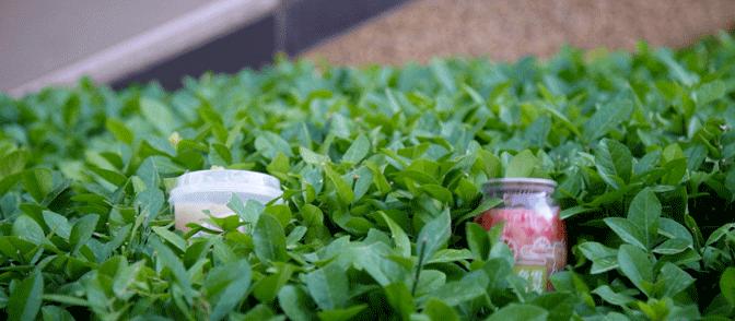 奈雪推荐果汁,奈雪选用了赣南脐橙