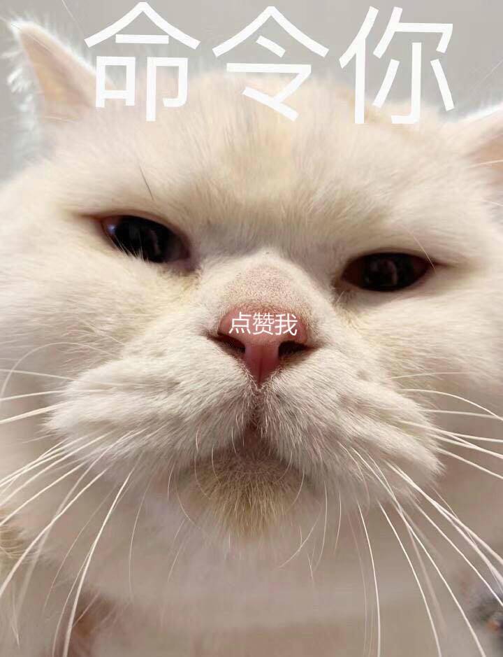 近视手术真实案例分享博主,近视屈光手术亲身经验