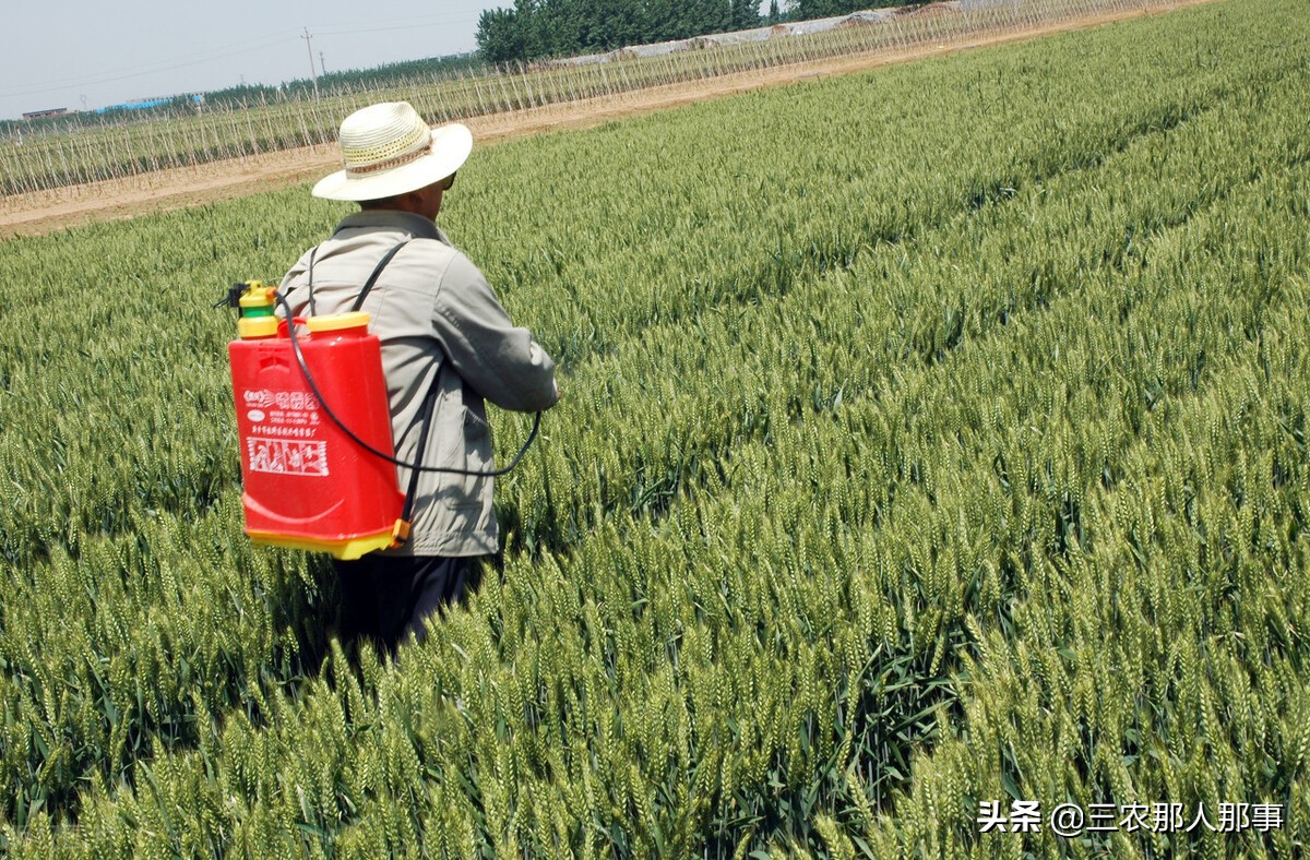 如何辨别农药的真伪,网购农药怎么样知道真假