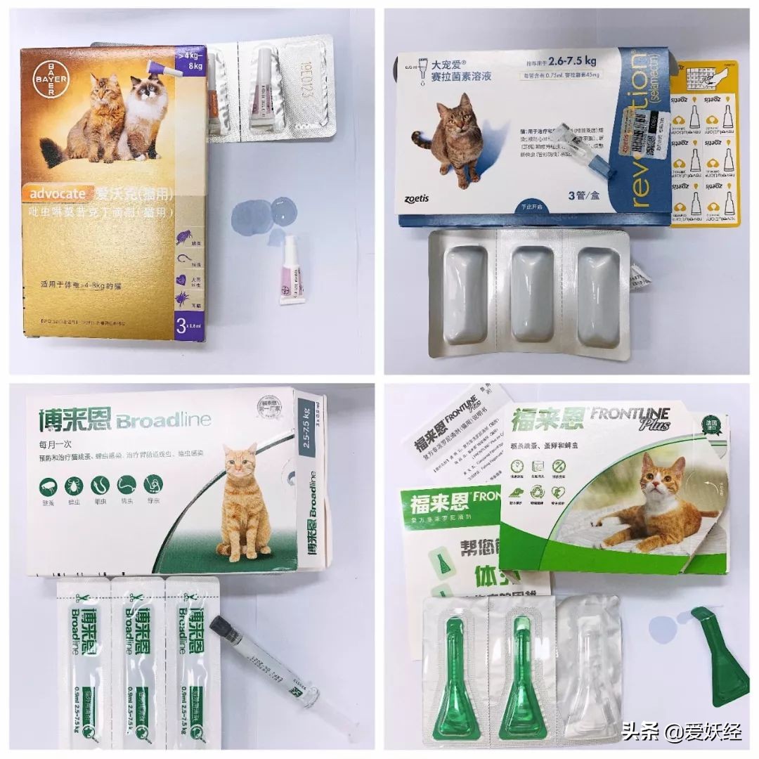 别说老狐狸不宠粉，你们要的猫用驱虫药测评！来喽