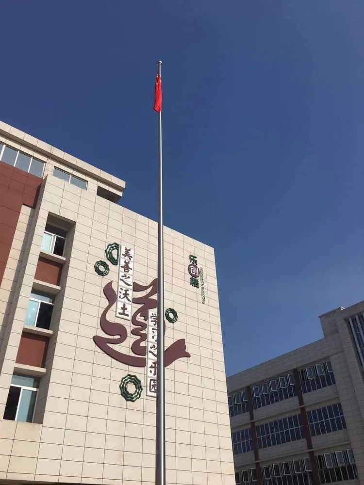 全面了解班级学生,阳逻街中心小学散学典礼