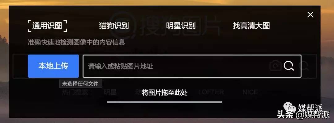 全网站最全识图工具,哪个识图软件比较强大