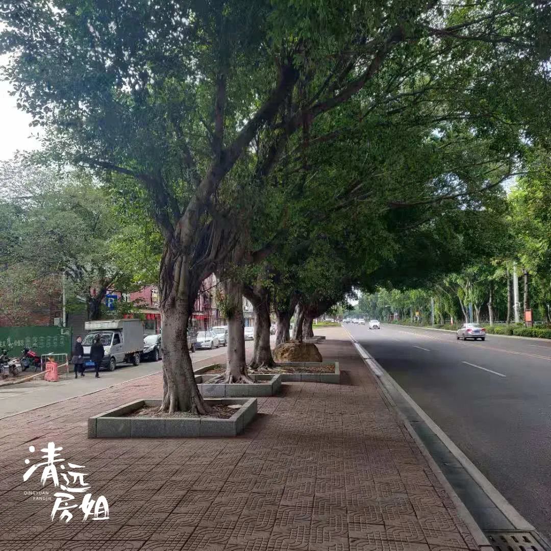 吹风价格,吹风价和实际价格