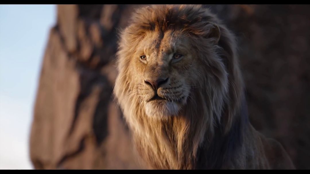 狮子王真实中文版,狮子王现实版