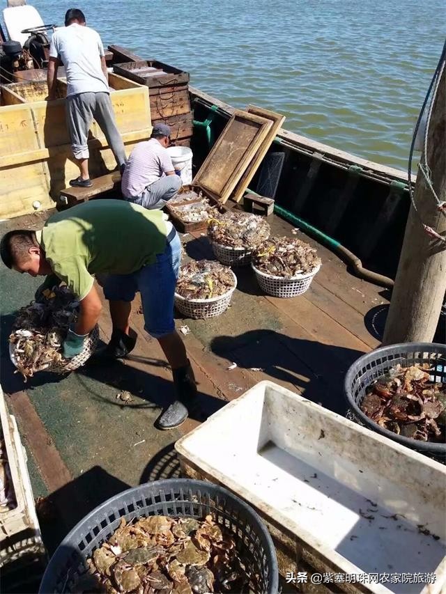 绉︾殗宀涙梾娓稿彲浠ュ嚭娴锋崟楸肩殑鍦版柟 (绉︾殗宀涚墽娴疯繙鑸啘瀹堕櫌)