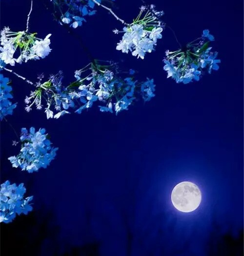 古人七言对联描写春天,诗词对联写春天