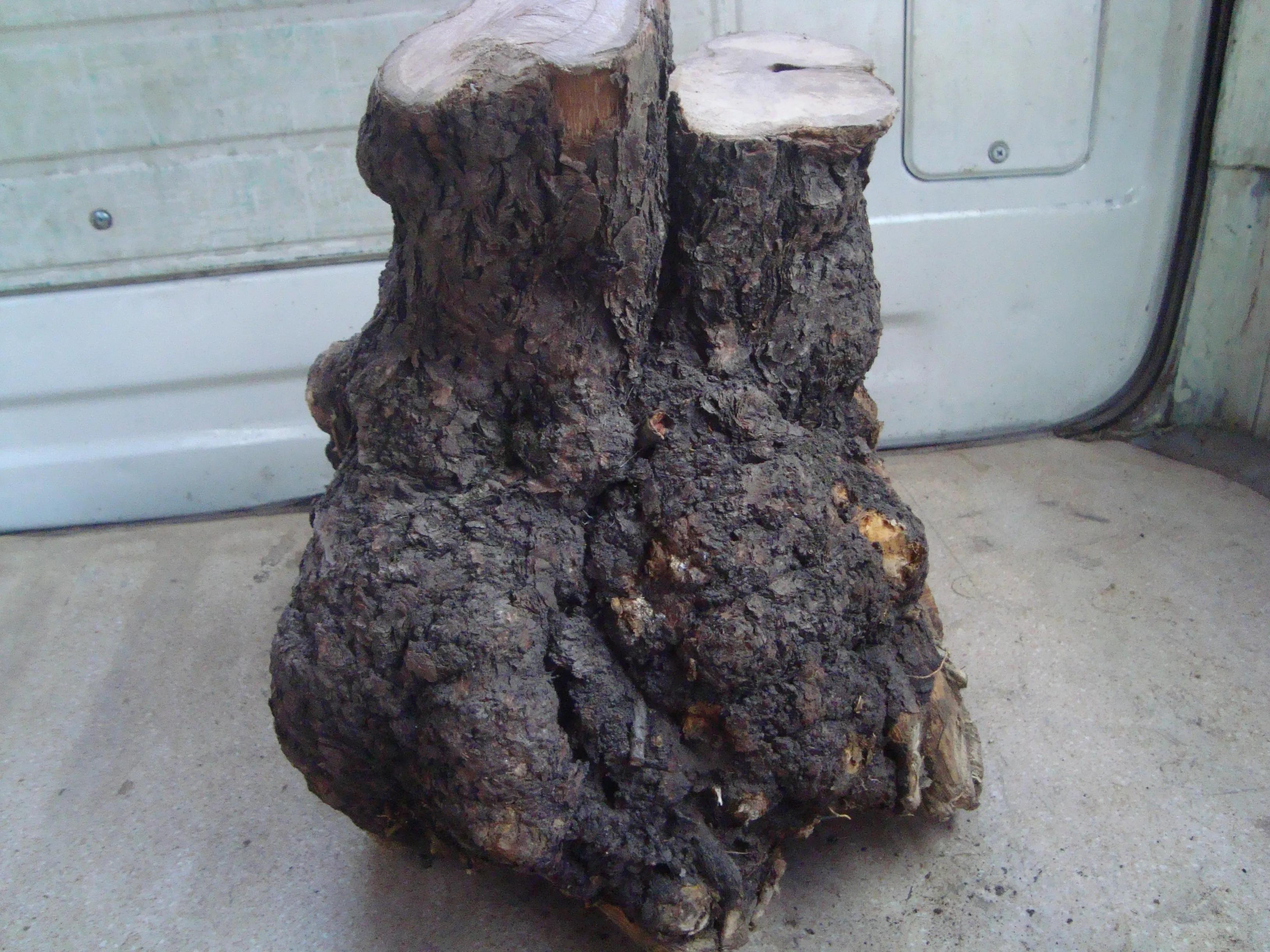 麻梨疙瘩与紫琉璃是一种东西吗,麻梨疙瘩和火琉璃有哪些区别