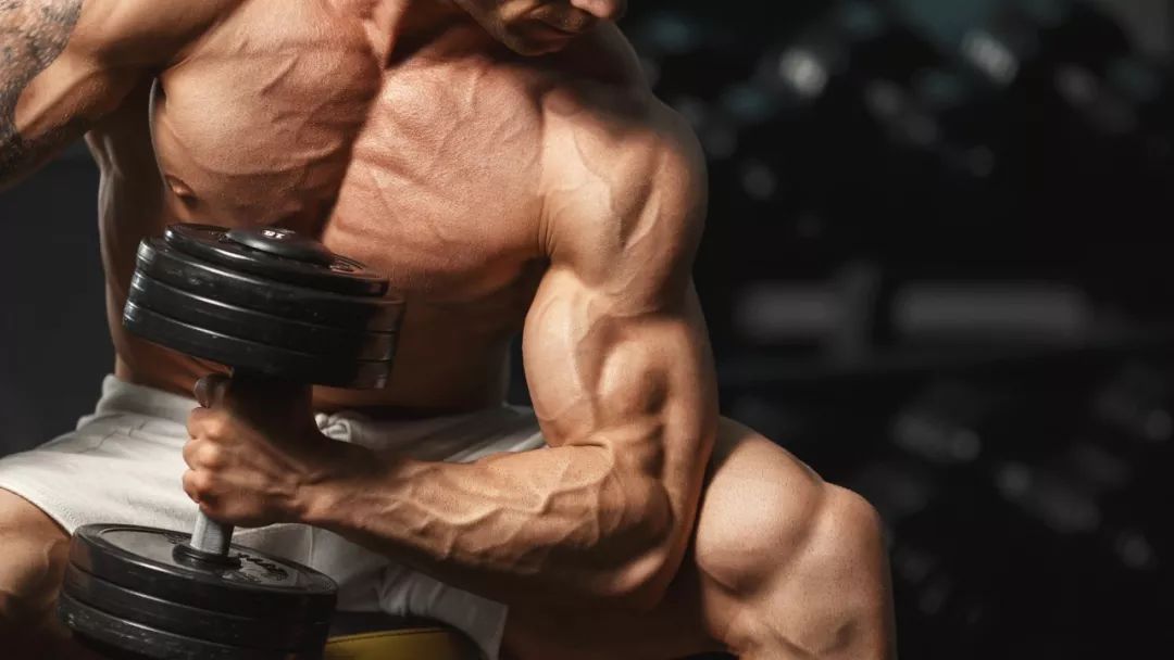 哪种蛋白质增肌效果好,如何有效合成蛋白质增肌