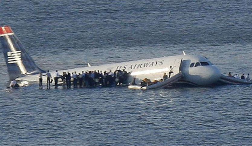 世界上最大的鸟撞飞机,一只鸟撞上飞机导致坠毁