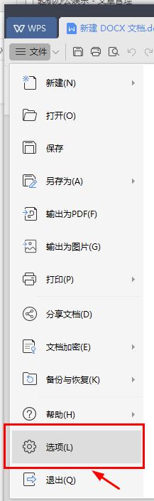 wps软件pdf文件保存不了,wps软件保存文件消失了怎么办