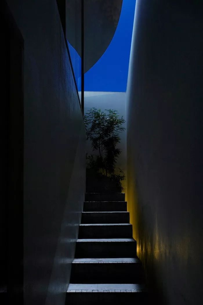 买不起大房子，日本教授为妻子造18m²“豪宅”当生日礼物.......