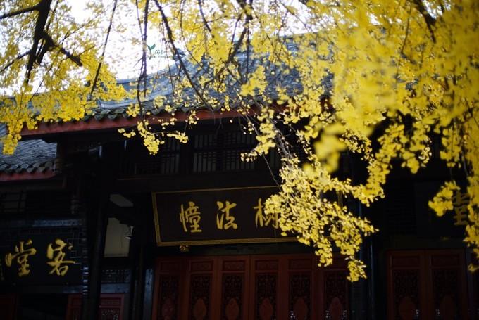 带不走的成都团购,带不走的成都火锅