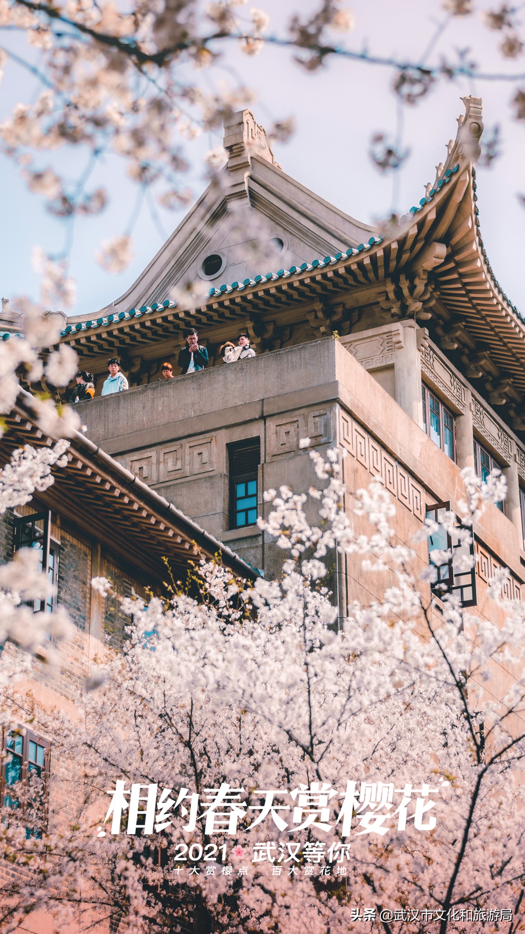 武汉东湖樱花门票,武汉看樱花的景点