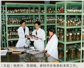 中国社会科学院昆明动物研究所,中国科学院昆明动物研究所简介