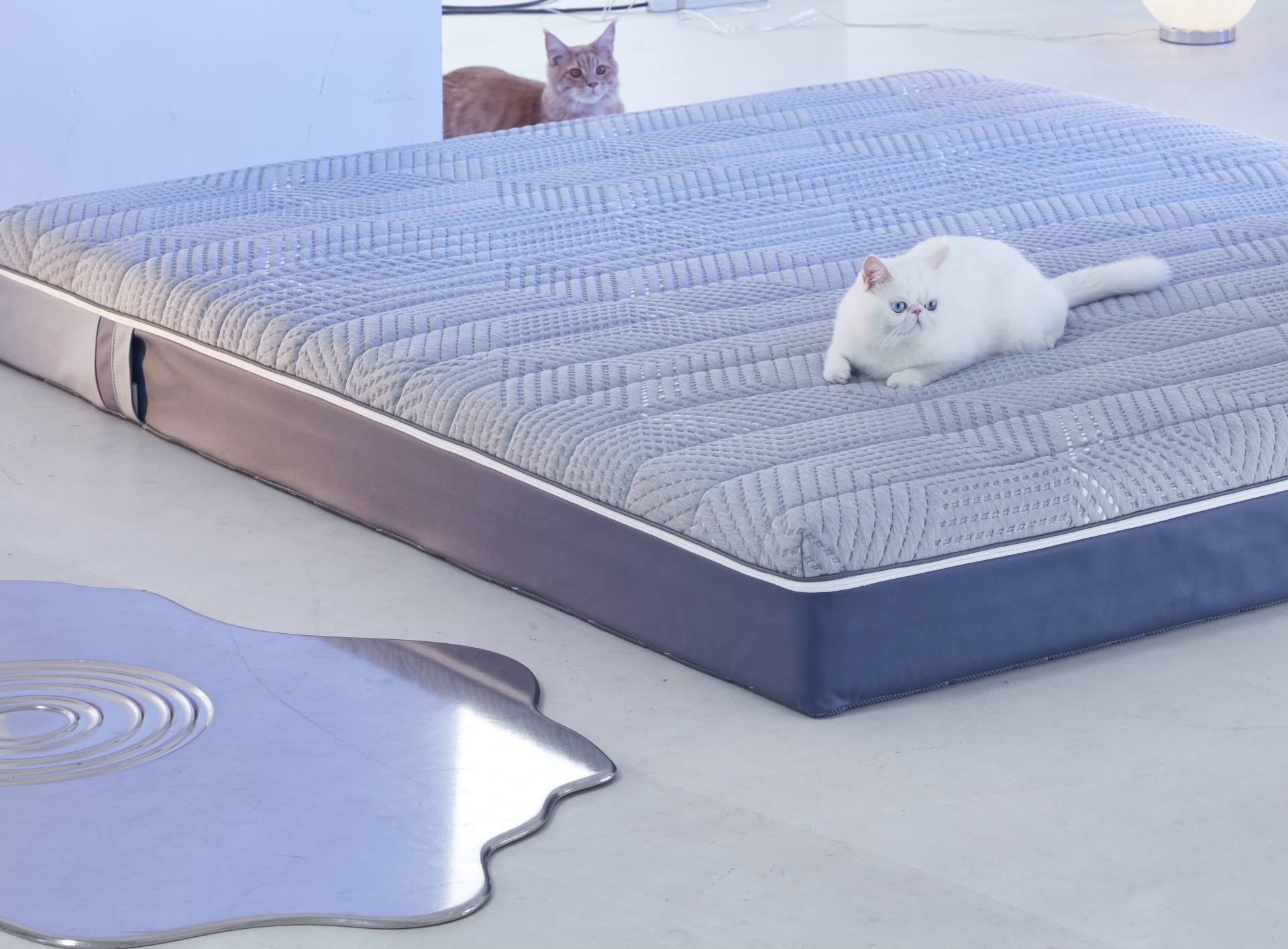 8HAI睡眠监测改善床垫：让睡眠也有“人”照顾