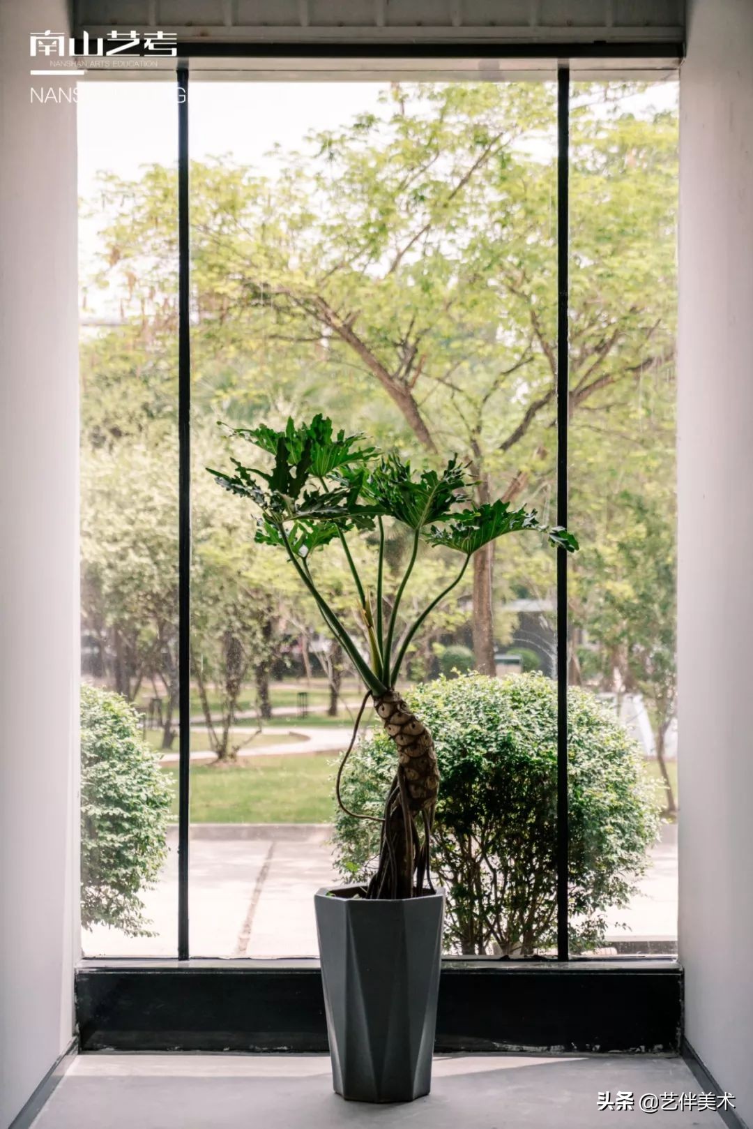 南山艺考画室怎么样收费,西安南山艺考画室官方账号