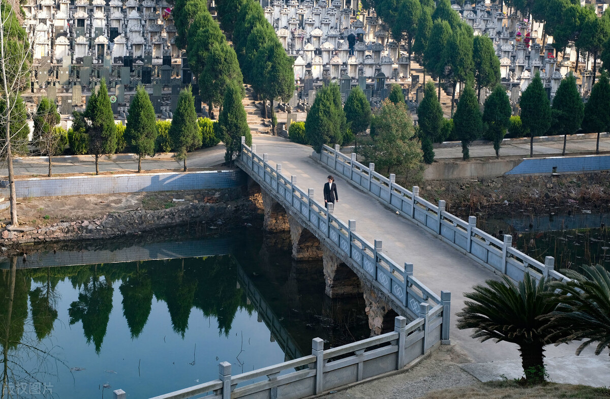 特别难学的十大专业,不需要学历最好就业的十大专业