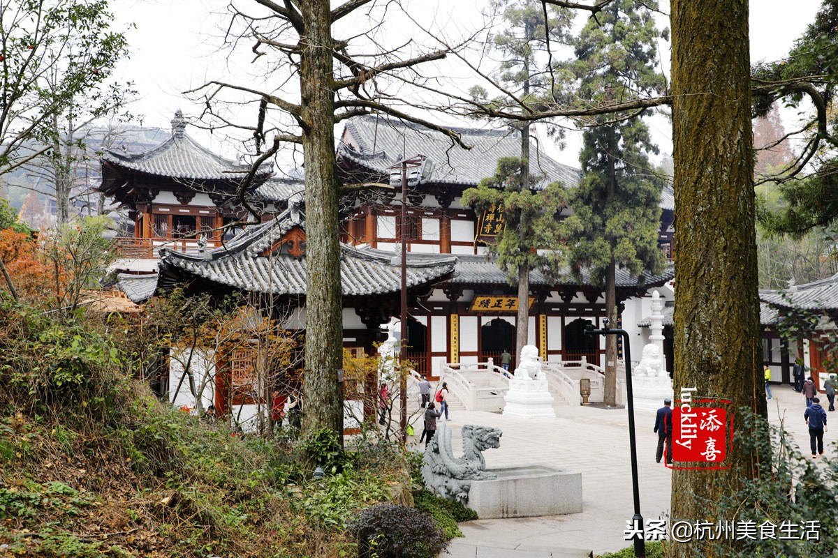 「杭州美食生活」径山淡竹元民宿，享受禅茶竹韵慢生活