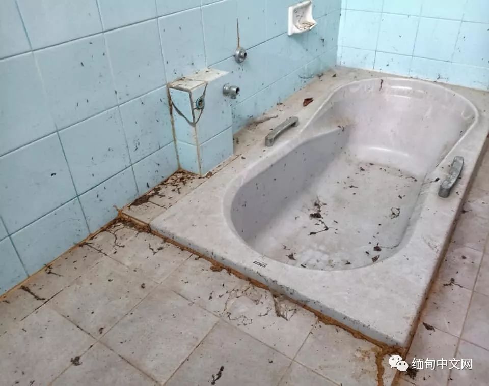 坤沙是怎么当上金三角老大的,金三角大毒枭坤沙传奇的一生