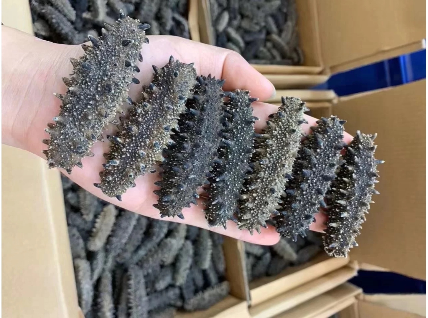 中式宴席中的头菜,宴席最好的菜